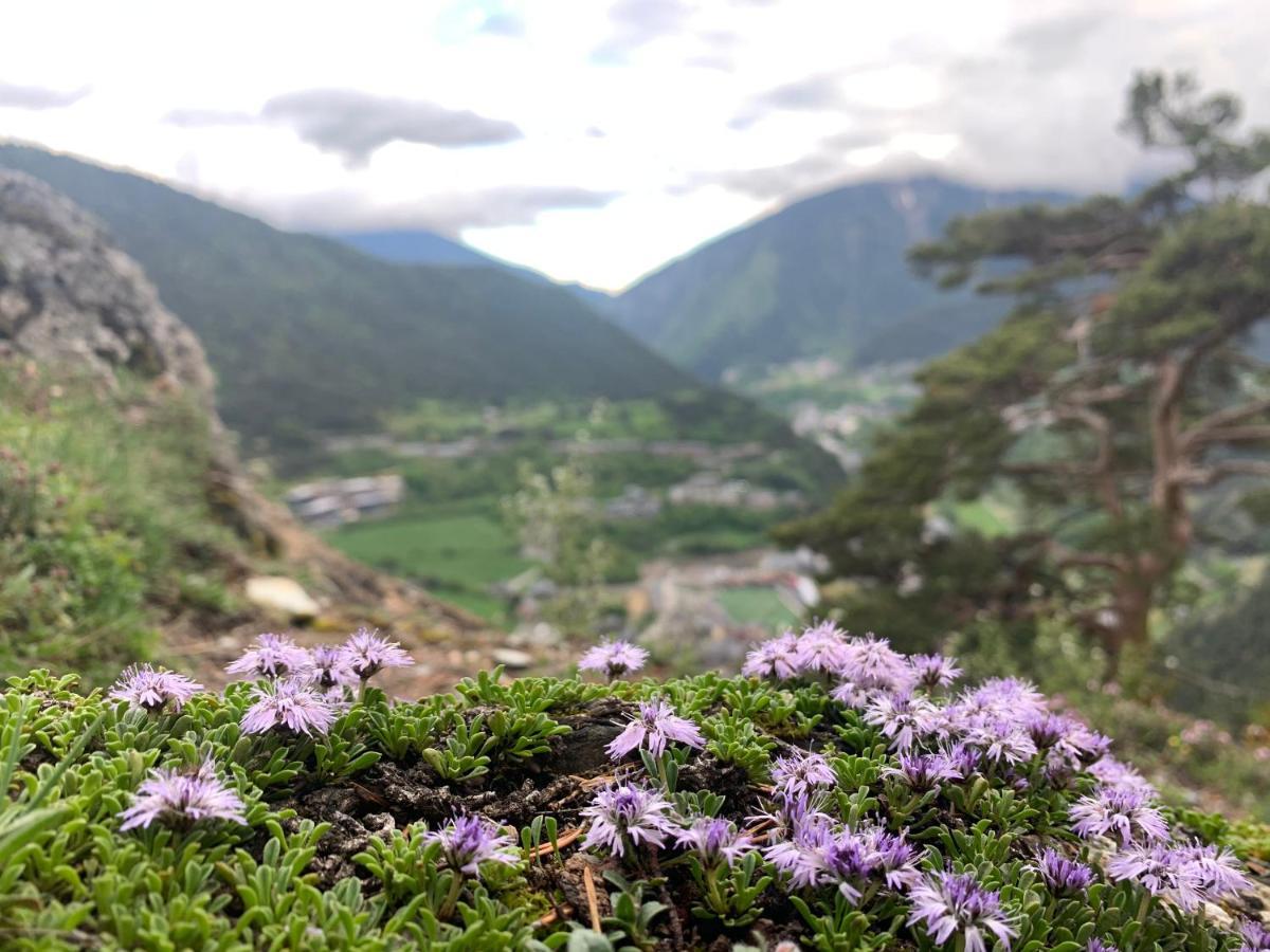 Maians - Peu Del Riu 122 - Vall D'Incles - Soldeu Extérieur photo